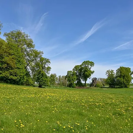 Ferienhaus Bungis Ferien Direkt Am Grimnitzsee, Karree 10 *