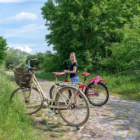 Bungis Ferien Direkt Am Grimnitzsee, Karree 10 Ferienhaus *
