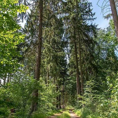 Ferienhaus Bungis Ferien Direkt Am Grimnitzsee, Karree 10 *
